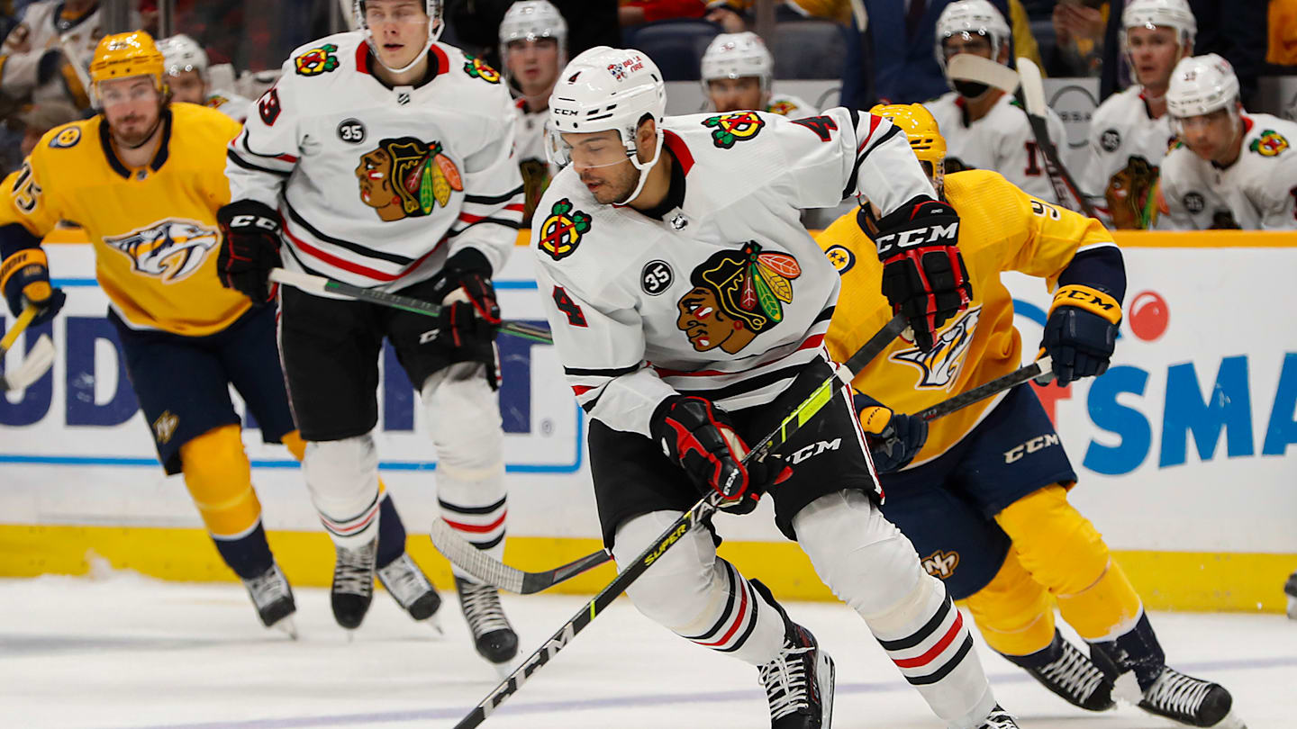 Exquisite Denver Takes On Chicago, Seeks To Break 3-game Skid View Nature