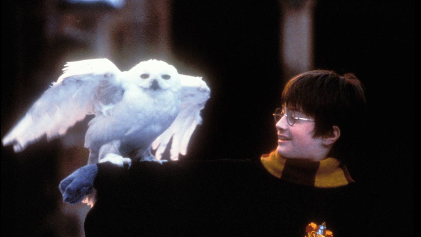 Quiz Which Harry Potter House Are You 