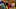 Abbott Elementary season 4 Abbott Elementary season 4