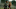 Blood of My Blood - Season 1 2025 Blood of My Blood - Season 1 2025