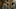 The Terminal List: Dark Wolf - First Look The Terminal List: Dark Wolf - First Look