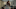 Outlander - Season 7 2024 Outlander - Season 7 2024