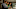The Camgirl Inquiry The Camgirl Inquiry