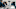 RIO MANGINI, AISHA HINDS, JUNE DIANE RAPHAEL, GEOFF PIERSON