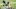 NY Jets, Elijah Moore NY Jets, Elijah Moore
