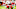 Denver Broncos, Arizona Cardinals Denver Broncos, Arizona Cardinals