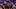 nba, detroit, pistons, ausar, thompson, jalen, duren nba, detroit, pistons, ausar, thompson, jalen, duren