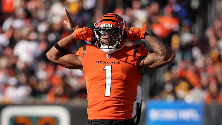 Pittsburgh Steelers v Cincinnati Bengals