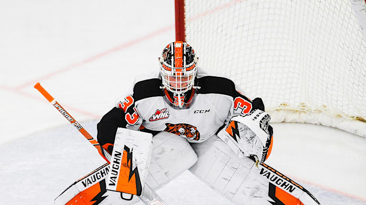 Garin Bjorklund, Washington Capitals