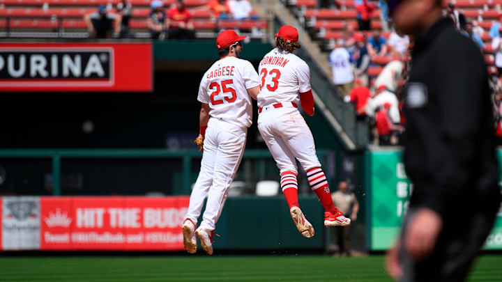 Houston Astros v St. Louis Cardinals