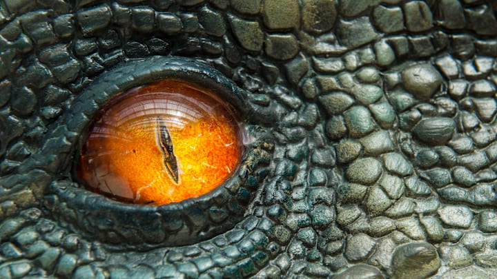 Jurassic World Waterloo Take Over