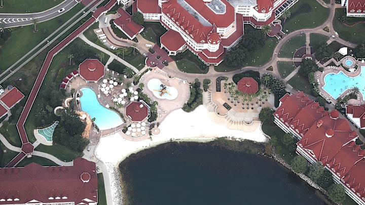 Alligator Snatches  2-Year-Old Boy From Lake At Disney Resort