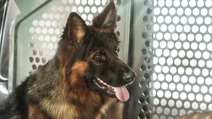 "The Beautiful Ballad of Gary Callahan" - Coverage of the CBS Original Series NCIS: ORIGINS, airing Tuesday, April 7 (9:00-10:00 PM, ET/PT) on the CBS Television Network. Photo: Greg Gayne/CBS ©2026 CBS Broadcasting, Inc. All Rights Reserved.