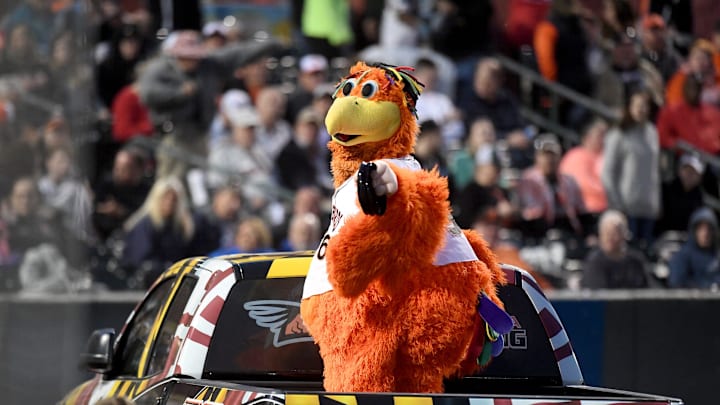 Delmarva Shorebirds mascot Sherman entertains the crowd