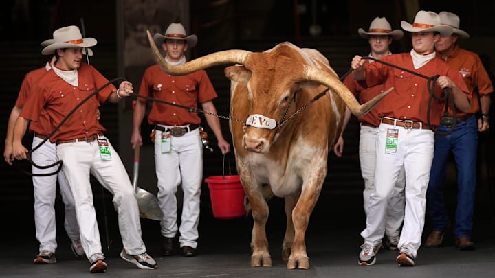 Texas Longhorns mascot Bevo