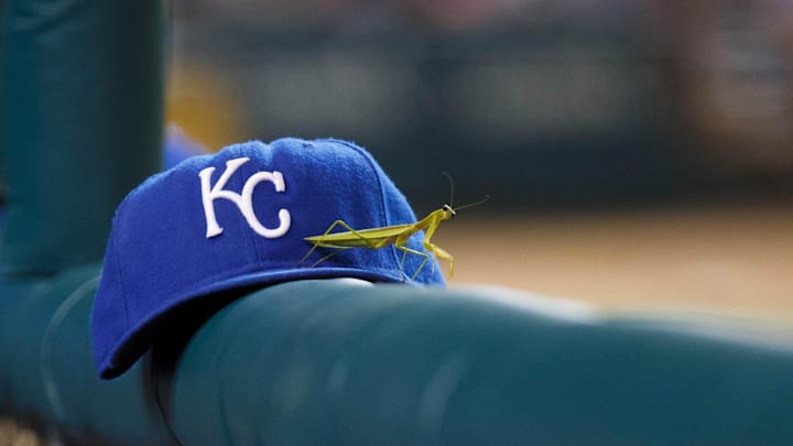 August 29, 2011; Detroit, MI, USA; Praying mantis sit on a Kansas City Royals hat in the dugout during the eighth inning against the Detroit Tigers at Comerica Park. Mandatory Credit: Rick Osentoski-Imagn Images