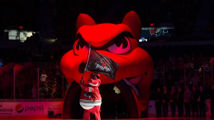 Hammy enters the ice before the IceHogs' game against Grand Rapids Saturday, Oct. 12, 2019, at BMO Harris Bank Center in Rockford.

Icehogs Bmo Harris Bank Center