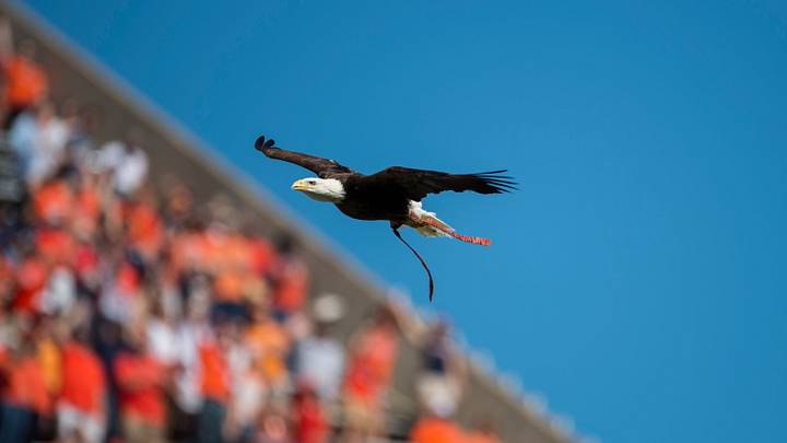 Auburn alumni came back to the Plains this past weekend to celebrate the history of the program.