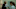 THE TWISTED TALE OF AMANDA KNOX - “The Guardian of Perugia” - VINCENZO DE MICHELE, GRACE VAN PATTEN THE TWISTED TALE OF AMANDA KNOX - “The Guardian of Perugia” - VINCENZO DE MICHELE, GRACE VAN PATTEN