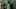 GRACE VAN PATTEN, MANUELA TASCIOTTI in THE TWISTED TALE OF AMANDA KNOX on Hulu GRACE VAN PATTEN, MANUELA TASCIOTTI in THE TWISTED TALE OF AMANDA KNOX on Hulu