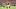 Sep 5, 2026; Knoxville, Tennessee, USA; Tennessee Volunteers quarterback Faizon Brandon (11) runs for a touchdown against th Sep 5, 2026; Knoxville, Tennessee, USA; Tennessee Volunteers quarterback Faizon Brandon (11) runs for a touchdown against th