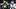 Green Bay Packers defensive tackle Devonte Wyatt (95) rushes Dallas Cowboys quarterback Dak Prescott. Green Bay Packers defensive tackle Devonte Wyatt (95) rushes Dallas Cowboys quarterback Dak Prescott.