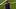 Max Arfsten, Sebastian Berhalter Max Arfsten, Sebastian Berhalter