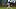 New York Yankees left fielder Cody Bellinger New York Yankees left fielder Cody Bellinger