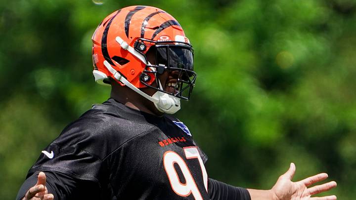 Cincinnati Bengals defensive tackle Dexter Lawrence.