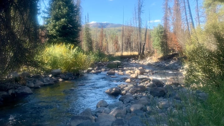 A Colorado small stream trout pool. 