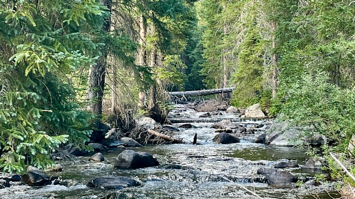 The best trout stream on the planet, as far as I'm concerned.