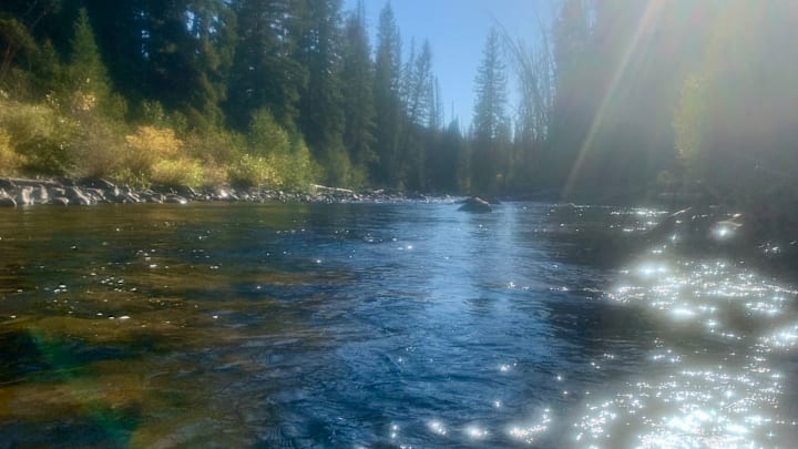 One of the benefits of blue lining: it's usually just you on the water. One of the benefits of blue lining: it's usually just you on the water.