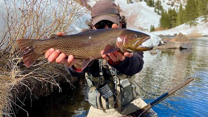 Sometimes the big ones require a bit of a drive. 