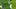 Baylor Bears quarterback Nate Bennett (12) throws a pass against the Prairie View A&M Panthers