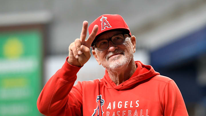 Los Angeles Angels v Tampa Bay Rays