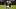 Marcellous Hawkins Virginia Tec Marcellous Hawkins Virginia Tec