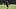 Christian Pulisic Christian Pulisic