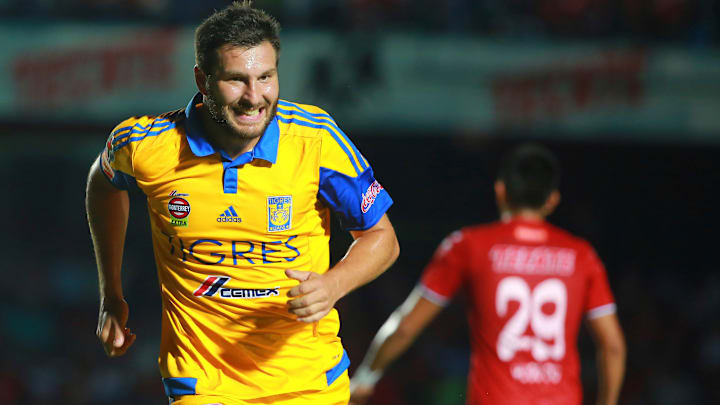 Veracruz v Tigres UANL - Apertura 2015 Liga MX