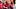Nick Saban Booed by Tennessee Fans Ahead of Texas Game Nick Saban Booed by Tennessee Fans Ahead of Texas Game
