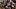 Oklahoma Sooners, John Mateer Oklahoma Sooners, John Mateer