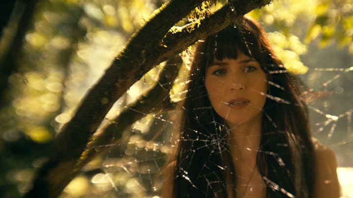 Cassandra Webb (Dakota Johnson) in Columbia Pictures’ MADAME WEB. Courtesy of Sony Pictures. © 2023 CTMG, Inc. All Rights Reserved.