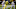 Sep 18, 2021; Athens, Georgia, USA; Oregon Ducks wide receiver Isaah Crocker (88) runs with the ball. Sep 18, 2021; Athens, Georgia, USA; Oregon Ducks wide receiver Isaah Crocker (88) runs with the ball.