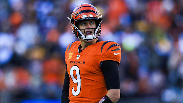 Dec 1, 2024; Cincinnati, Ohio, USA; Cincinnati Bengals quarterback Joe Burrow (9) reacts after a penalty called in the first half against the Pittsburgh Steelers at Paycor Stadium. Mandatory Credit: Katie Stratman-Imagn Images