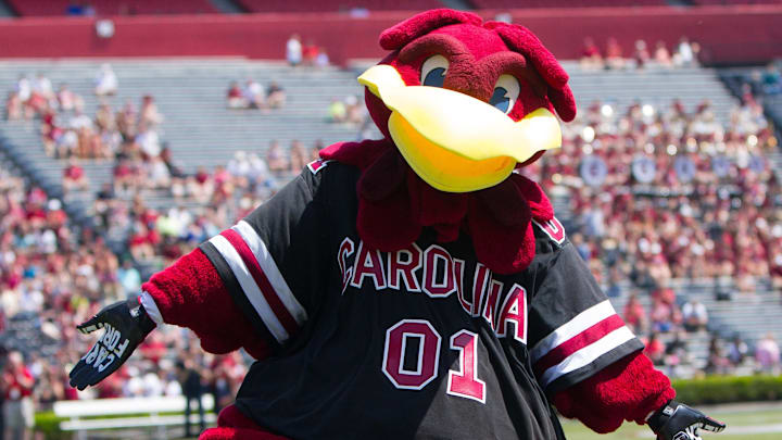 South Carolina football mascot Cocky