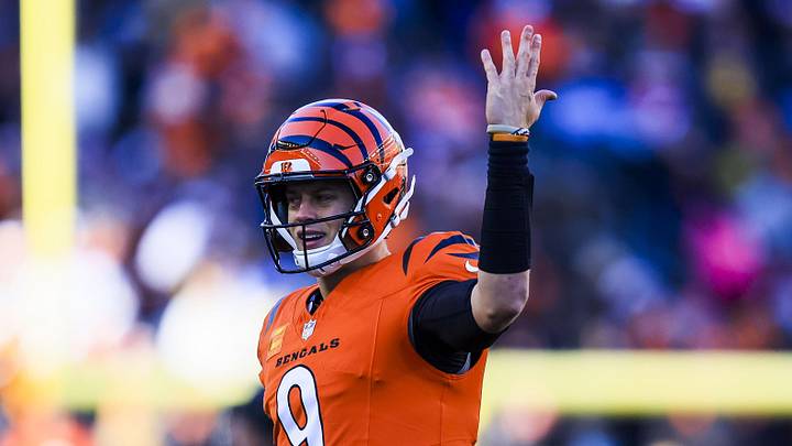 Dec 1, 2024; Cincinnati, Ohio, USA; Cincinnati Bengals quarterback Joe Burrow (9) reacts after a penalty called in the first half against the Pittsburgh Steelers at Paycor Stadium. Mandatory Credit: Katie Stratman-Imagn Images