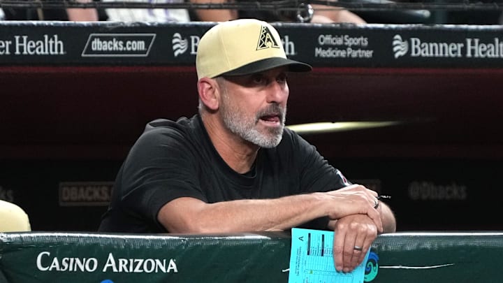 Sep 24, 2024; Phoenix, Arizona, USA; Arizona Diamondbacks manager Torey Lovullo (17) watches against the San Francisco Giants in the eighth inning at Chase Field. Mandatory Credit: Rick Scuteri-Imagn Images