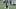 New York Giants wide receiver Odell Beckham Jr. New York Giants wide receiver Odell Beckham Jr.