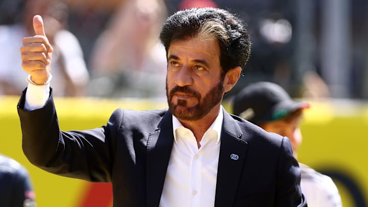 Mohammed Ben Sulayem, FIA