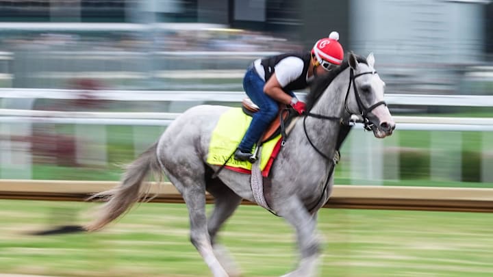 Sandman enters the 2025 Preakness Stakes with 4-1 odds to win.