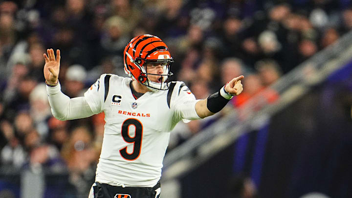 Cincinnati Bengals v Baltimore Ravens